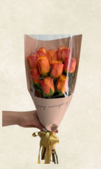 Bodrum Çiçek Market auto draft