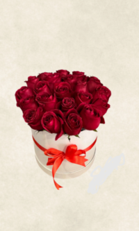 Bodrum Çiçek Market auto draft