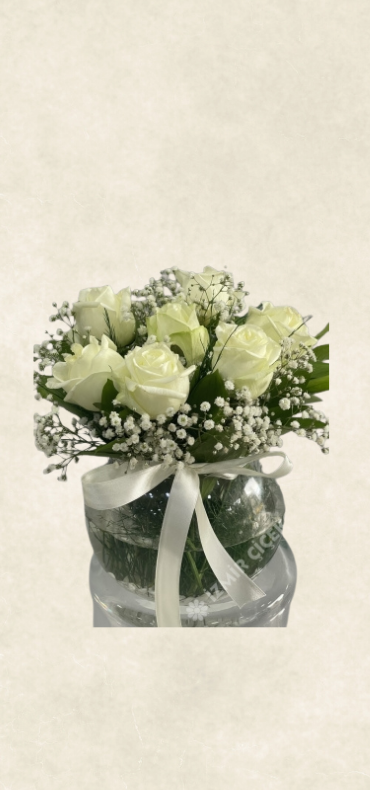 fanusta İthal 7 beyaz gül fanusta İthal 7 beyaz gül