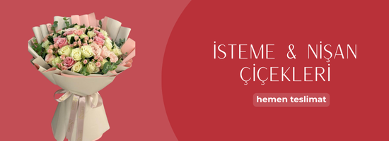 isteme nisan cicekleripng