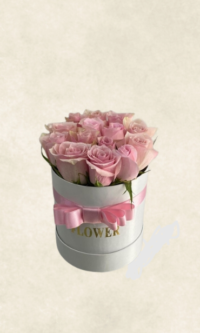 Bodrum Çiçek Market auto draft