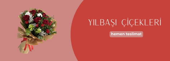 yılbaşı çiçekleri