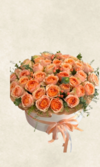 kutuda 101 gravity gül