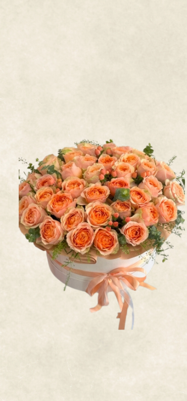 kutuda 101 gravity gül kutuda 101 gravity gül