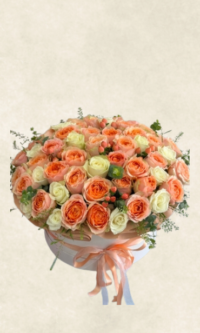 kutuda 101 gravity gül ve white athena güller