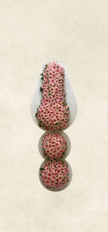 auto draft auto draft