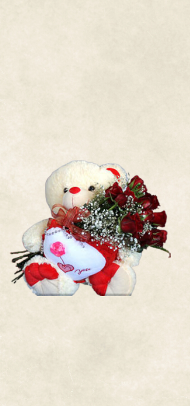 ayıcık ve 15 kırmızı gül ayıcık ve 15 kırmızı gül