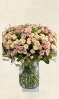 grand vazoda 50 İthal spray gül