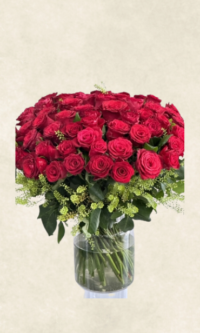 grand vazoda 50 İthal kırmızı rodos gül