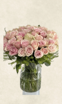 grand vazoda 50 İthal pembe güller