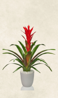 Bodrum Çiçek Market auto draft