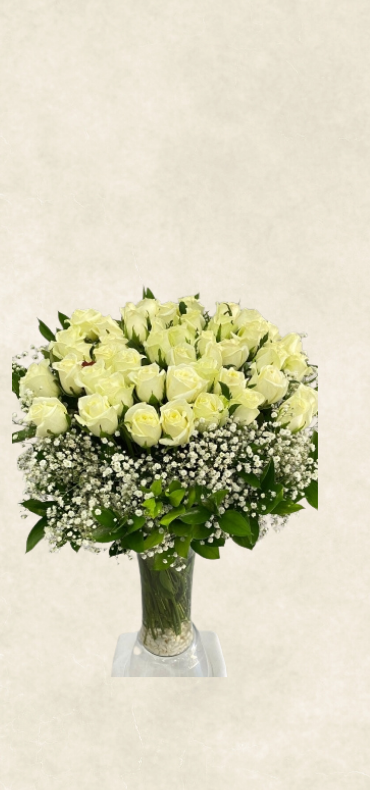 auto draft auto draft