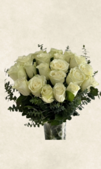 vazoda İthal 20 beyaz gül